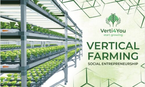 Digital Training Pack for Social Entrepreneurship